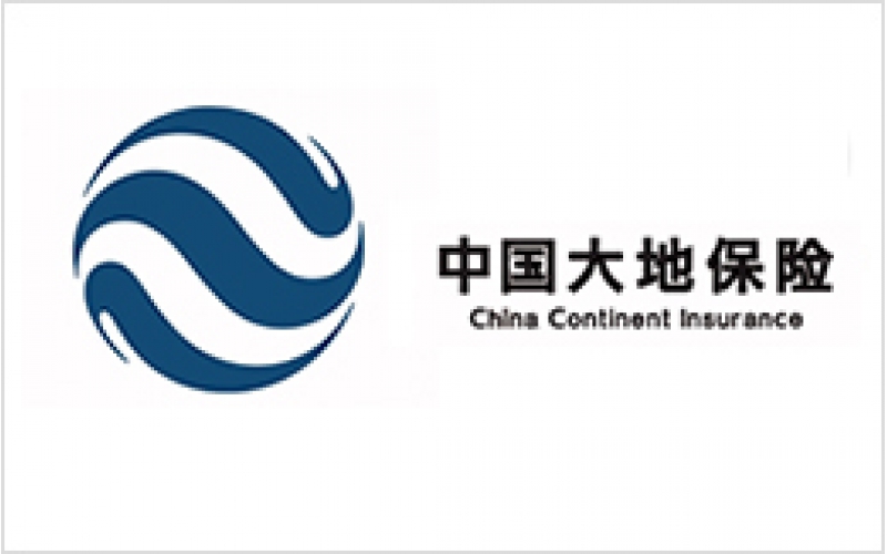 中國(guó)大地保險(xiǎn)